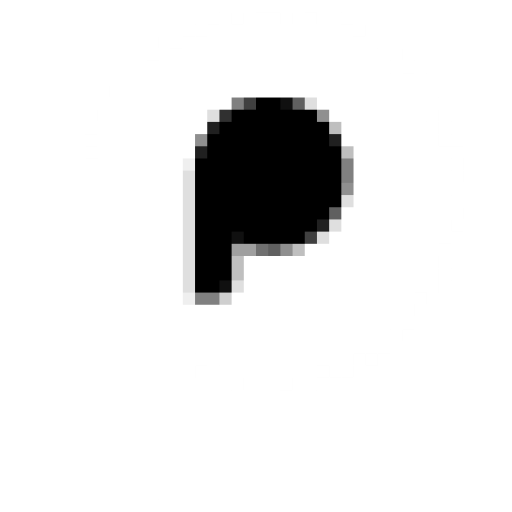 placement preparation favicon